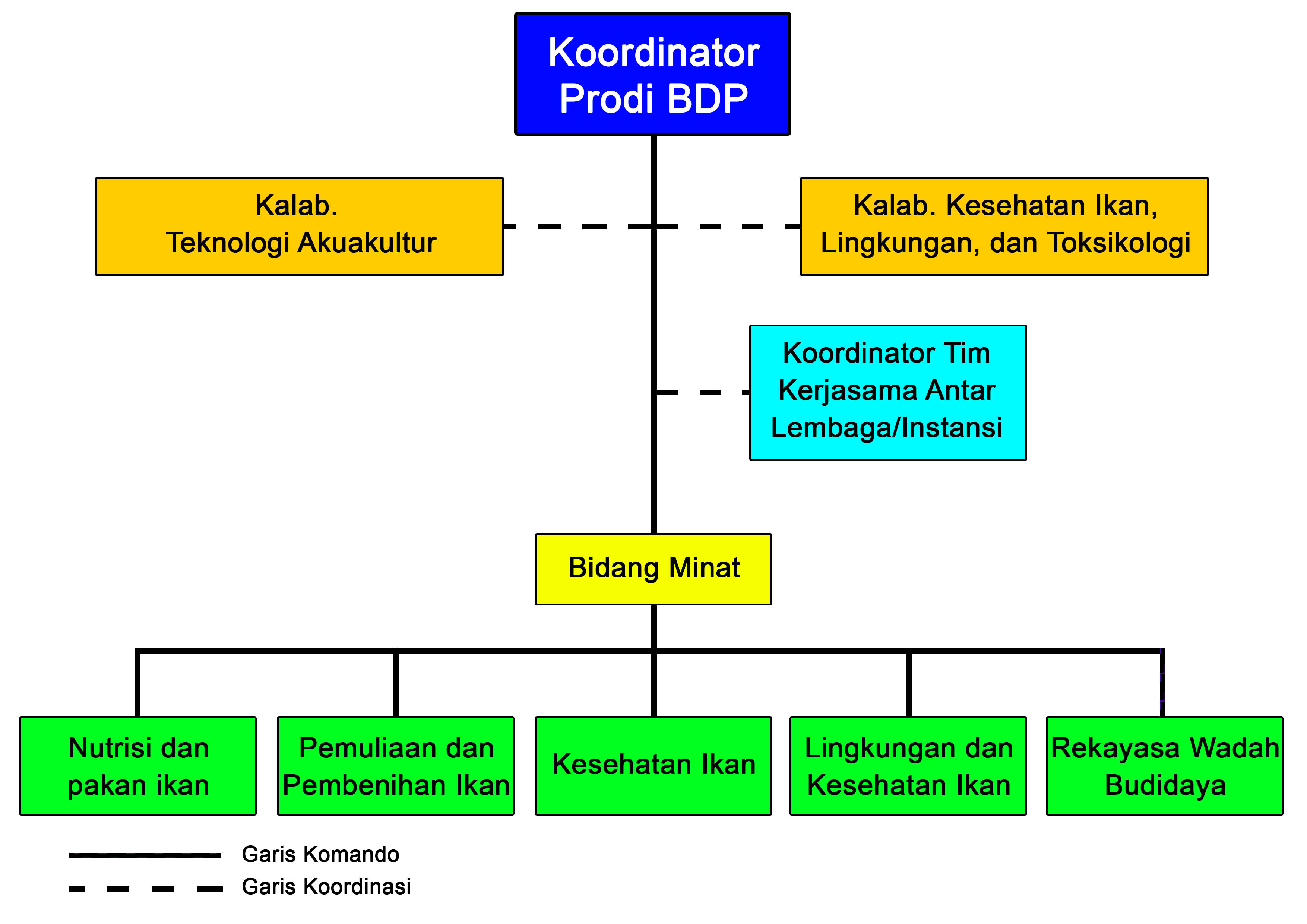Srtujtur Org BDP